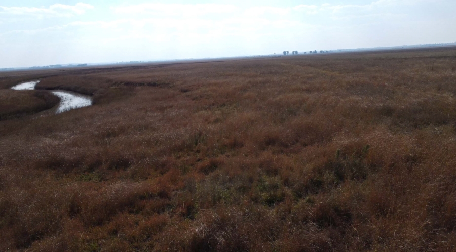 0 Bedroom Property for Sale in Koppies Rural Free State